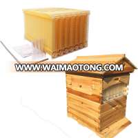 New 7PCS Auto Flow Honey Hive Beehive Frames Super Box for 1 PC Beekeeping Wooden House Sale