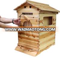 2018 China flow hive factory directly supplies classic automatic beehive honey bee flow hive with 7pcs frames patent owned